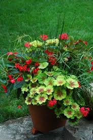 Maybe you would like to learn more about one of these? Container By Greenhouse On The River Lakefield Ontario Container Gardening Flowers Container Flowers Garden Containers