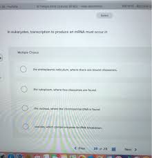 Solved 28 Youtube El Tiempo Entre Costuras S01e02 Vid Chegg Com