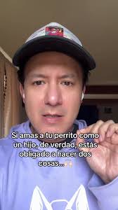 Mi Compañero De Vida Perro