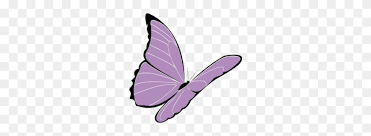 Maybe you would like to learn more about one of these? Purple Butterfly Clipart Purple Png Stunning Free Transparent Png Clipart Images Free Download
