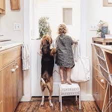 Olli Ella On Instagram Storie Stool Perfect For Spying On Neighbours Animals Friends Ollie Kiddos