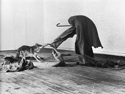 Joseph Beuys I Like America And America Likes Me Performance 1974 Performance Art Art History Conceptual Art