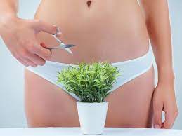 A body groomer differs from an electric shaver and a beard trimmer in that it is solely focused on doing exactly what the name states, grooming the body. How Much Hair Is Normal Down There And Other Female Pubic Hair Q S Hellogiggles