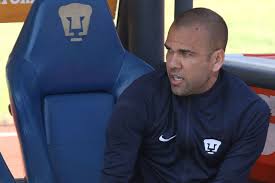 Image result for Alvesia