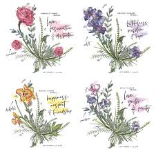 Maybe you would like to learn more about one of these? Personalised Birth Month Flower Cushion By Vintage Designs Reborn Notonthehighstreet Com