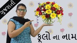 Here is a list of flower names along with their symbolic meanings. àª« àª² àª¨ àª¨ àª® Flowers In Gujarati New Gujarati Flowers Name Photo Video Flowers Name Video Youtube