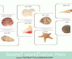 shell classification printables