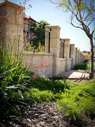 I'm seeing this all across the country, and very much so in my hometown of perth. Lawn To Native Garden Wild About Gardens Garden Design Perth Wa