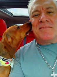 Dog day appointment and relaxation