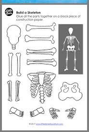 Pin By Andrea Martin On Kid Activities Body Bones Worksheets For Kids Skeleton For Kids