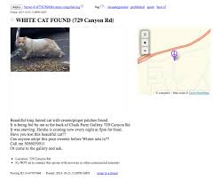 Favorite this post jul 22 Santa Fe Nm Long Haired Cats White Cat Long Hair Styles