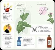 How safe are natural insecticides? | EPA