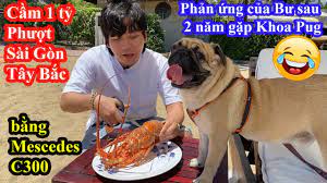 Tiểu sử khoa pug tên thật: Khoa Pug Mua Tom Hum Sieu To Cho BÆ° Sau 2 NÄƒm Gáº·p Máº·t Tour Pha Xe Mercedes Sai Gon Tay Báº¯c 1 Youtube