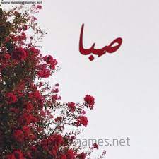 صور اسم ص با قاموس الأسماء و المعاني
