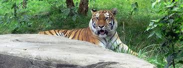 Zoo Eberswalde Offnungszeiten Eintrittspreise Anfahrt