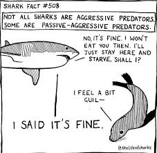 Super rugby match sharks vs bulls (31 jan 2020). I Can Has Cheezburger Shark Comics Funny Animals Online Cheezburger
