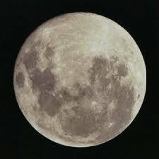 Nu mai am pe nimeni. Luna Plina Ce Putem Face In Gradina Magazinul De AcasÄƒ