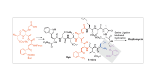 Image result for Daptomycin