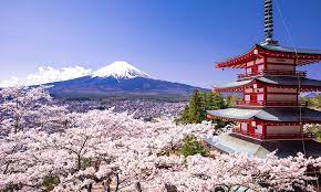 Musim panas sudah bermula di jepun. Kapan Waktu Terbaik Mengunjungi Jepang Cuaca Musim Dan Festival Travelioz
