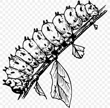 Coloring Book The Very Hungry Caterpillar Child Page Png 785x800px Coloring Book Adult Animal Art Artwork