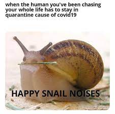 Finally The Bet Makes Sense In 2021 Cute Little Animals Cute Animals Cute Baby Animals