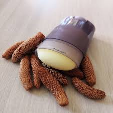 Deodorant Solide Anti Repousse Poils Diy Deodorant Produits De Beaute Faits Maison Produits De Beaute