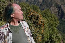 Image result for Polystachya steudneri