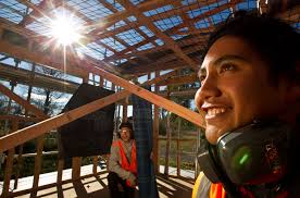 Employment forecast looks bright for Rotorua tradies