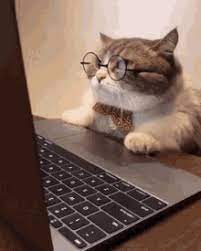 First they made biscuits, but now they're making.boobs! Funny Cat Gifs Tenor