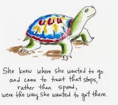 Patreon Turtle Quotes Turtle Spirit Animal Turtle