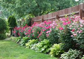 They have built a concrete flowerbed against the fence, and there're is no concrete boarder between the flower bed and the fence. 10 Beautiful And Cheap Garden Fence Ideas For Privacy Green Gold Landscaping