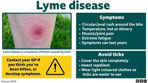 Image result for infected tick bite