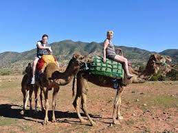 Escape to the splendid atlas mountains and enjoy an award winning day trip from marrakech to the wilderness: Atlas Mountains And Camel Ride Small Group Day Trip From Marrakech Tours Activities Fun Things To Do In Marrakech Morocco Veltra