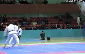 Like A Fella Once Said Ain T That A Kick In The Head Gif On Imgur