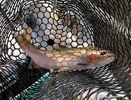 Yakima River Fly Fishing Report Yakima River Angler