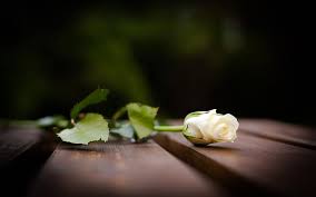 White Roses Hd Desktop Wallpapers 4k Hd 1666 views | 7662 downloads. white roses hd desktop wallpapers 4k hd