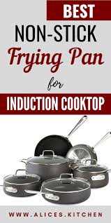 Best Non Stick Frying Pan For Induction Cooktop Induction Cooktop Cooktop Induction Cookware