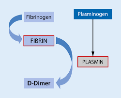 Bedeutung Von Biomarkern Bei Der Lungenarterienembolie Springerlink