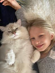 Bella my daughter first cat 5 months old