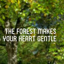 Inspirational Quote Positivity Nature Self Improvement Inspirational Quotes Printable Inspirational Quotes Nature Quotes
