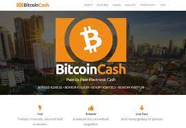 Bitcoin cash is a decentralized form of digital asset/cryptocurrency. Beginner S Guide To Bitcoin Cash Bch Information Review How To Buy