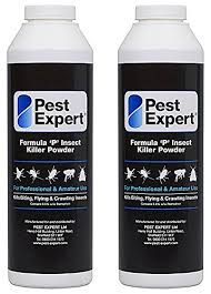 Garden tips for pest control management or how to get rid of insects is often used to define how. Pest Expert Formula P Carpet Beetle Killer Powder Xl 2 X 300g Pack Size Hse Approved And Tested Professional Strength Product Buy Online In Cayman Islands At Cayman Desertcart Com Productid 59457830