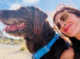 Karen Messersmith's Instagram, Twitter & Facebook