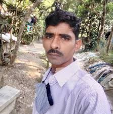 Beautiful Bonsai Tree with Bougainvillea Flowers