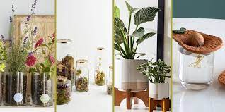 Maybe you would like to learn more about one of these? 40 Best Gifts For Plant Lovers Cute Plant Gift Ideas 2020
