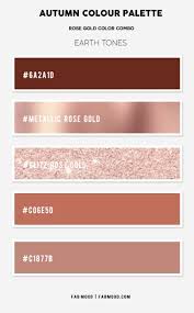 See more ideas about rose gold color, rose gold fashion, color. Rose Gold Colour Combos Autumn Colour Combo With Rose Gold