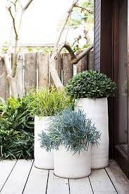 Check spelling or type a new query. Bondi Pots Plants Outdoor Planters Planting Flowers