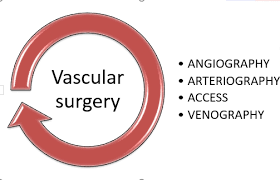 Basics Coding Terms Used For Cpt Code For Angiography