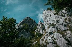 Worm S Eye View Of Mountain Free Stock Photo