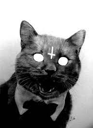 Pin By Gulnaz Valieva On Tma Creepy Cat Funny Art Scary Art